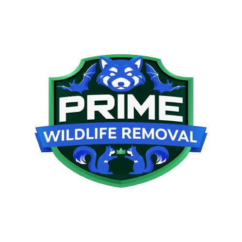 Wildlife Removal Decatur County